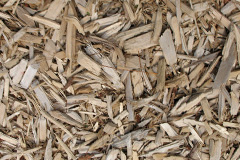 biomass boilers Elvingston