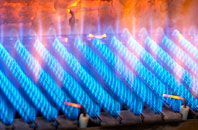 Elvingston gas fired boilers